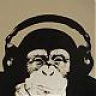 Chimmychimp