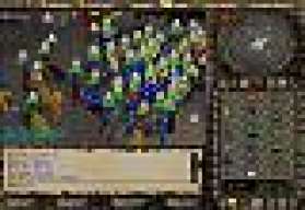 tomc4894
