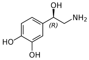Monoamine