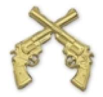 Twin Revolvers