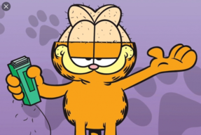 Garfield