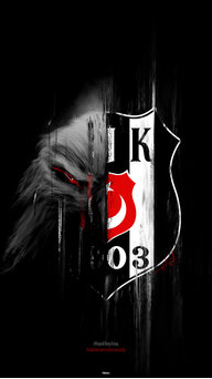 Fury King