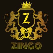 Zingo_Team