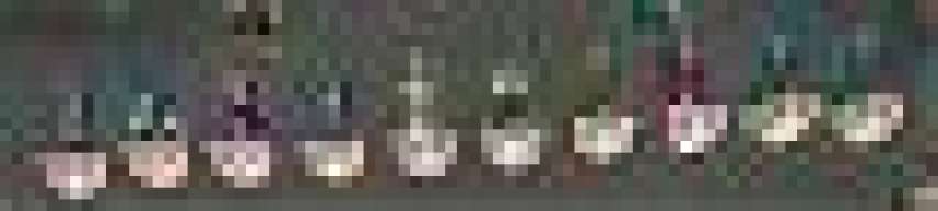 613736134215