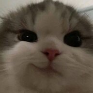cheeenowtf