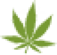 Gandhi