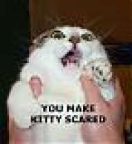 haxzorzz