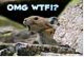 O__M__G