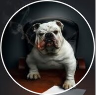 BoSsDoG101