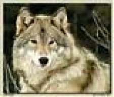 Ookami