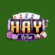 Haywin1 ceo