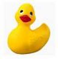 rubber duck