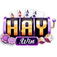 haywin1band