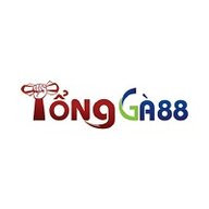 tongga88com