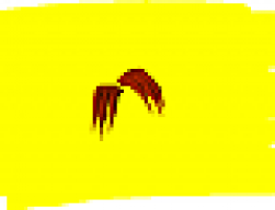 zentko