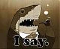 Maarrkklol