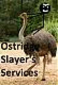OstridgeSlayer