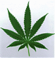 ISTAYHIGH