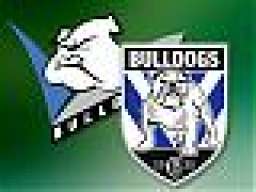 BU11DOGS_98