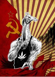 Girafarigs