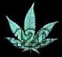 RipnDaKush