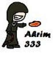 Ahrim 333