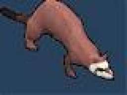 Ferret of Doom