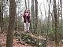 turtleman