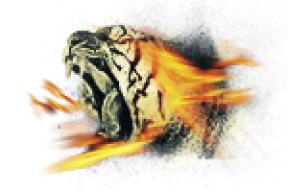 Davefx