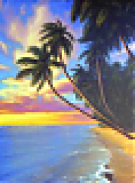 Tropics {High-Life}