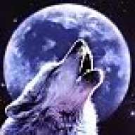 wolf1516