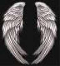 Divine Angel