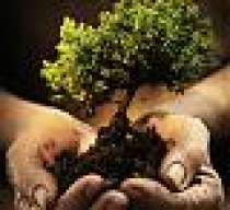 Horticulture