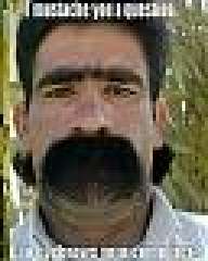greenhorn
