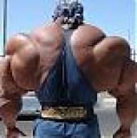 SwoleSeal