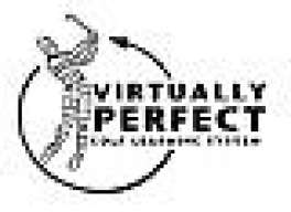 VirtuallyPerfect
