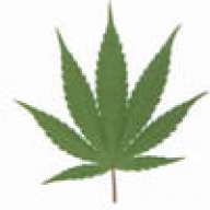 Doctor Green Thumb4200000
