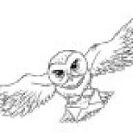owl9142