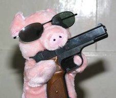 dapiggy