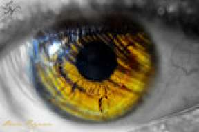 SepiaMussel8