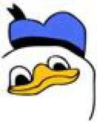 The_scrub69