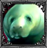 jelloman3000
