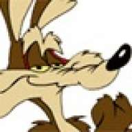 Wily Coyote