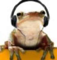 DBHorbert
