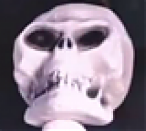 RaitoKunRyuk