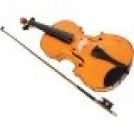 Violinist