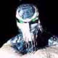 glacius33