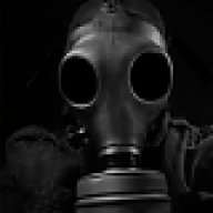The Governor