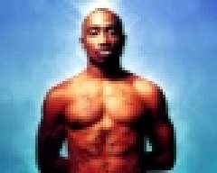 Kimbo