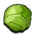 Cabbage Man